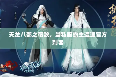 天龙八部之宿敌,当私服霸主遭遇官方刺客 天龙八部之宿敌,当私服霸主遭遇官方刺客