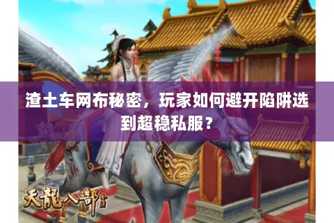 渣土车网布秘密,玩家如何避开陷阱选到超稳私服? 渣土车网布秘密,玩家如何避开陷阱选到超稳私服?