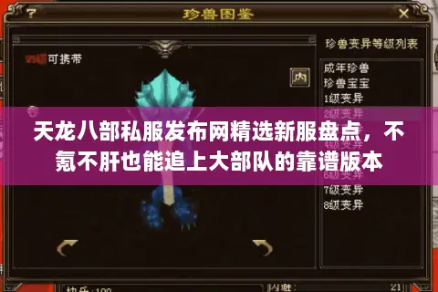 天龙八部私服发布网精选新服盘点，不氪不肝也能追上大部队的靠谱版本