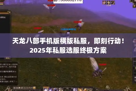 天龙八部手机版横版私服,即刻行动!2025年私服选服终极方案 天龙八部手机版横版私服,即刻行动!2025年私服选服终极方案