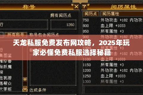 天龙私服免费发布网攻略，2025年玩家必懂免费私服选择秘籍