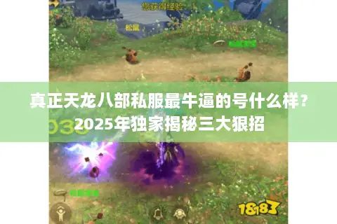 真正天龙八部私服最牛逼的号什么样?2025年独家揭秘三大狠招 真正天龙八部私服最牛逼的号什么样?2025年独家揭秘三大狠招