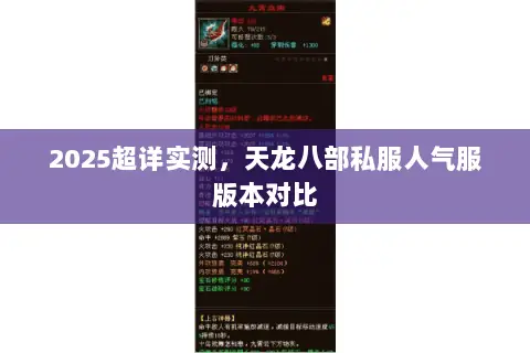 2025超详实测，天龙八部私服人气服版本对比
