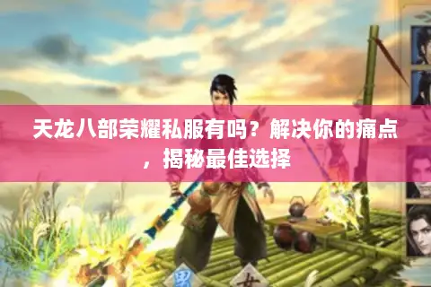 天龙八部荣耀私服有吗？解决你的痛点，揭秘最佳选择