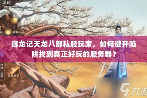 御龙记天龙八部私服玩家,如何避开陷阱找到真正好玩的服务器? 御龙记天龙八部私服玩家,如何避开陷阱找到真正好玩的服务器?