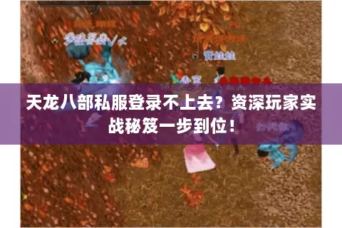 天龙八部私服登录不上去?资深玩家实战秘笈一步到位! 天龙八部私服登录不上去?资深玩家实战秘笈一步到位!