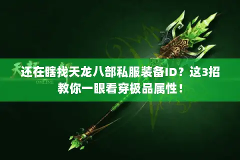 还在瞎找天龙八部私服装备ID？这3招教你一眼看穿极品属性！