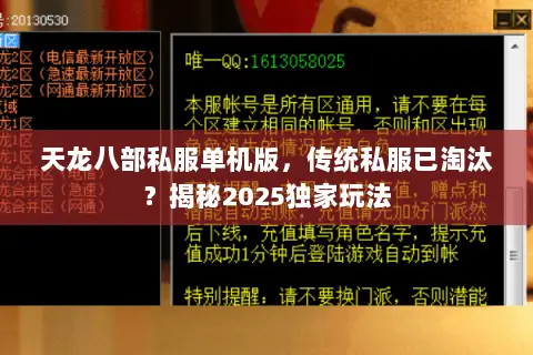 天龙八部私服单机版,传统私服已淘汰?揭秘2025独家玩法 天龙八部私服单机版,传统私服已淘汰?揭秘2025独家玩法