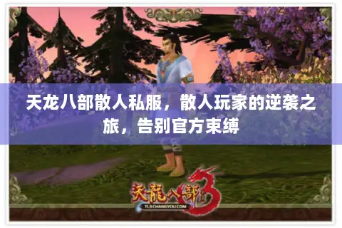 天龙八部散人私服，散人玩家的逆袭之旅，告别官方束缚