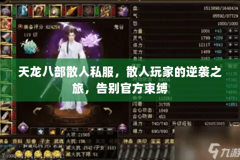 天龙八部散人私服，散人玩家的逆袭之旅，告别官方束缚