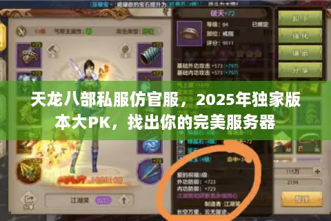 天龙八部私服仿官服，2025年独家版本大PK，找出你的完美服务器