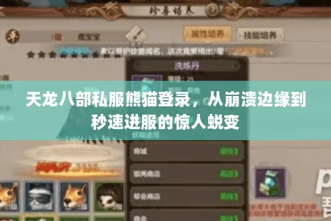 天龙八部私服熊猫登录,从崩溃边缘到秒速进服的惊人蜕变 天龙八部私服熊猫登录,从崩溃边缘到秒速进服的惊人蜕变