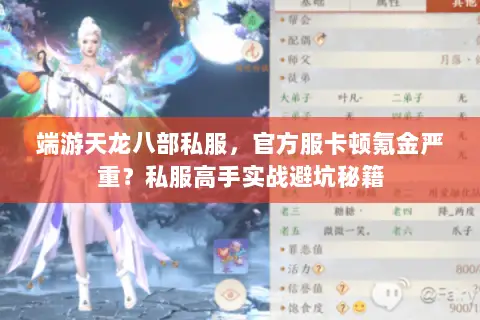 端游天龙八部私服，官方服卡顿氪金严重？私服高手实战避坑秘籍