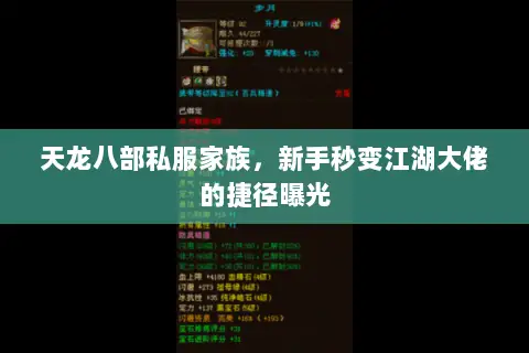 天龙八部私服家族,新手秒变江湖大佬的捷径曝光 天龙八部私服家族,新手秒变江湖大佬的捷径曝光