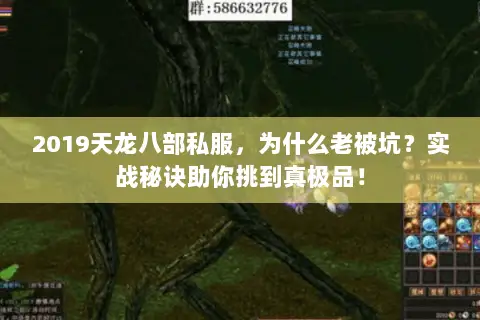 2019天龙八部私服，为什么老被坑？实战秘诀助你挑到真极品！