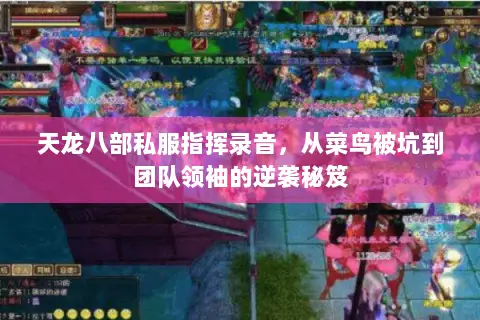 天龙八部私服指挥录音,从菜鸟被坑到团队领袖的逆袭秘笈 天龙八部私服指挥录音,从菜鸟被坑到团队领袖的逆袭秘笈