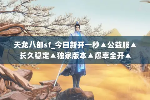 天龙八部sf_今日新开一秒▲公益服▲长久稳定▲独家版本▲爆率全开▲