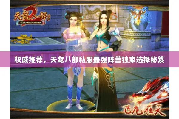 权威推荐，天龙八部私服最强阵营独家选择秘笈