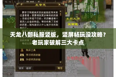 天龙八部私服竖版,竖屏畅玩没攻略?老玩家破解三大卡点 天龙八部私服竖版,竖屏畅玩没攻略?老玩家破解三大卡点