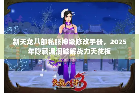新天龙八部私服神级修改手册，2025年隐藏漏洞破解战力天花板