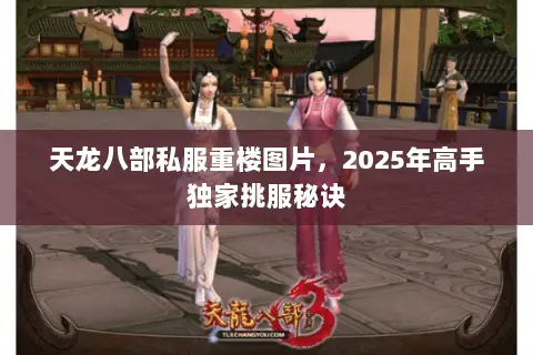 天龙八部私服重楼图片,2025年高手独家挑服秘诀 天龙八部私服重楼图片,2025年高手独家挑服秘诀