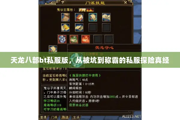 天龙八部bt私服版,从被坑到称霸的私服探险真经 天龙八部bt私服版,从被坑到称霸的私服探险真经