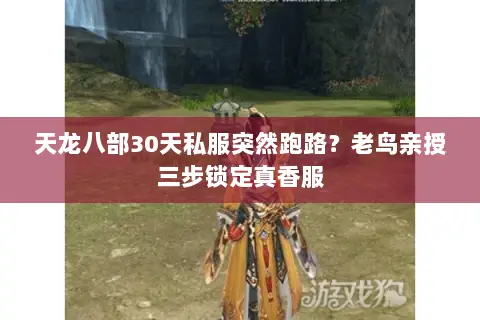天龙八部30天私服突然跑路?老鸟亲授三步锁定真香服 天龙八部30天私服突然跑路?老鸟亲授三步锁定真香服