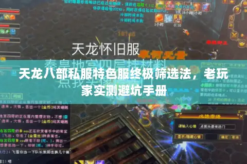 天龙八部私服特色服终极筛选法,老玩家实测避坑手册 天龙八部私服特色服终极筛选法,老玩家实测避坑手册