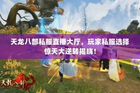 天龙八部私服直播大厅,玩家私服选择惊天大逆转揭晓! 天龙八部私服直播大厅,玩家私服选择惊天大逆转揭晓!