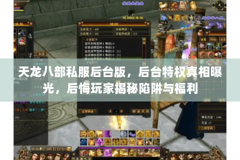 天龙八部私服后台版，后台特权真相曝光，后悔玩家揭秘陷阱与福利