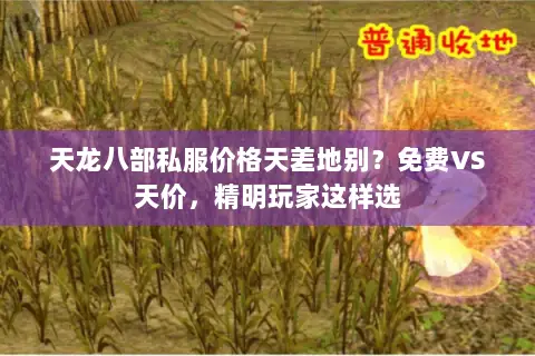 天龙八部私服价格天差地别?免费VS天价,精明玩家这样选 天龙八部私服价格天差地别?免费VS天价,精明玩家这样选