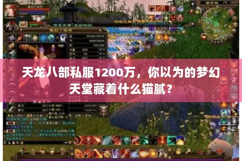 天龙八部私服1200万,你以为的梦幻天堂藏着什么猫腻? 天龙八部私服1200万,你以为的梦幻天堂藏着什么猫腻?