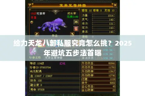 给力天龙八部私服究竟怎么挑？2025年避坑五步法首曝