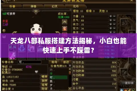天龙八部私服搭建方法揭秘，小白也能快速上手不踩雷？