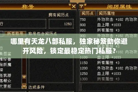 哪里有天龙八部私服，独家秘笈助你避开风险，锁定最稳定热门私服？