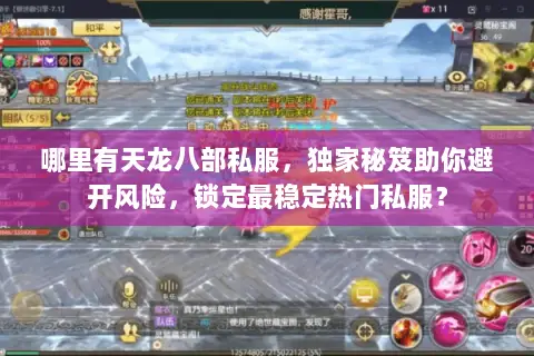 哪里有天龙八部私服，独家秘笈助你避开风险，锁定最稳定热门私服？