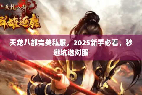 天龙八部完美私服,2025新手必看,秒避坑选对服 天龙八部完美私服,2025新手必看,秒避坑选对服