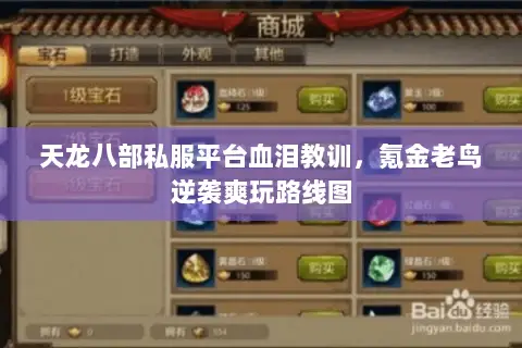 天龙八部私服平台血泪教训，氪金老鸟逆袭爽玩路线图