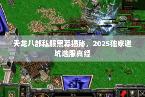 天龙八部私服黑幕揭秘,2025独家避坑选服真经 天龙八部私服黑幕揭秘,2025独家避坑选服真经