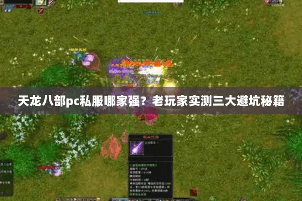 天龙八部pc私服哪家强?老玩家实测三大避坑秘籍 天龙八部pc私服哪家强?老玩家实测三大避坑秘籍