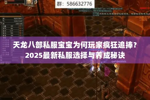 天龙八部私服宝宝为何玩家疯狂追捧？2025最新私服选择与养成秘诀