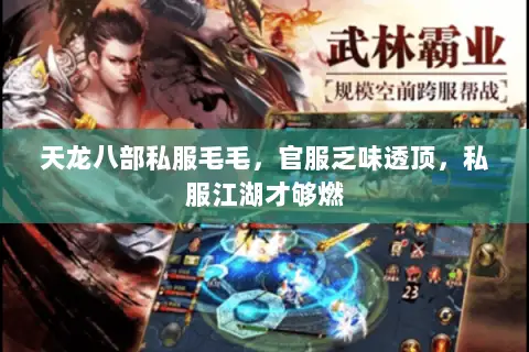 天龙八部私服毛毛，官服乏味透顶，私服江湖才够燃