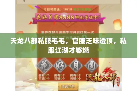 天龙八部私服毛毛，官服乏味透顶，私服江湖才够燃