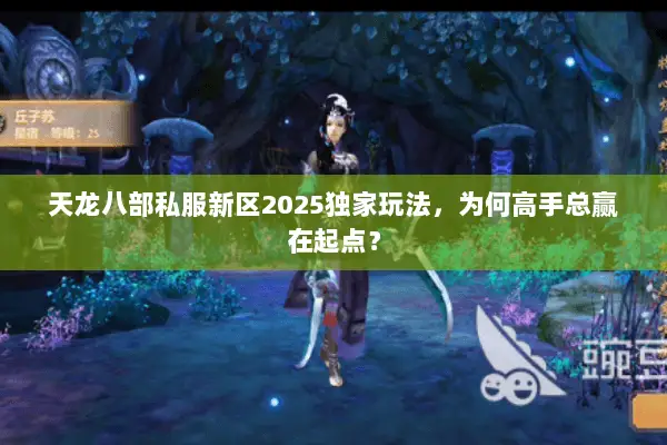 天龙八部私服新区2025独家玩法,为何高手总赢在起点? 天龙八部私服新区2025独家玩法,为何高手总赢在起点?