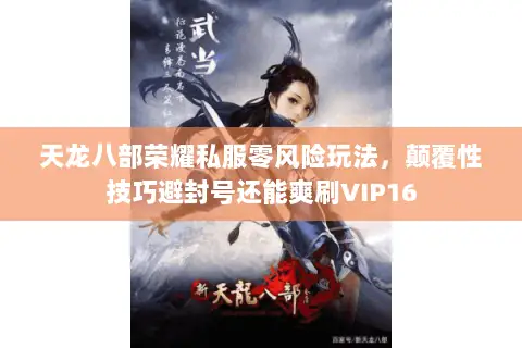 天龙八部荣耀私服零风险玩法，颠覆性技巧避封号还能爽刷VIP16