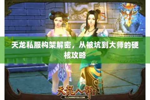 天龙私服构架解密,从被坑到大师的硬核攻略 天龙私服构架解密,从被坑到大师的硬核攻略