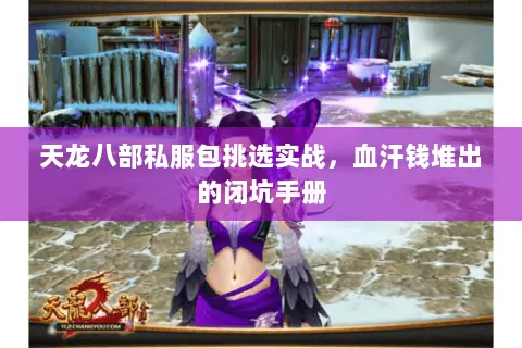 天龙八部私服包挑选实战,血汗钱堆出的闭坑手册 天龙八部私服包挑选实战,血汗钱堆出的闭坑手册