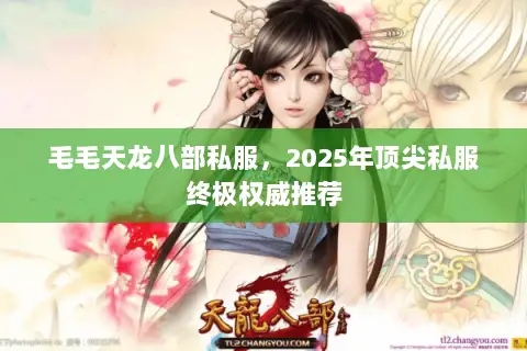 毛毛天龙八部私服,2025年顶尖私服终极权威推荐 毛毛天龙八部私服,2025年顶尖私服终极权威推荐