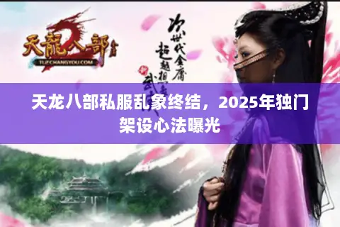 天龙八部私服乱象终结,2025年独门架设心法曝光 天龙八部私服乱象终结,2025年独门架设心法曝光