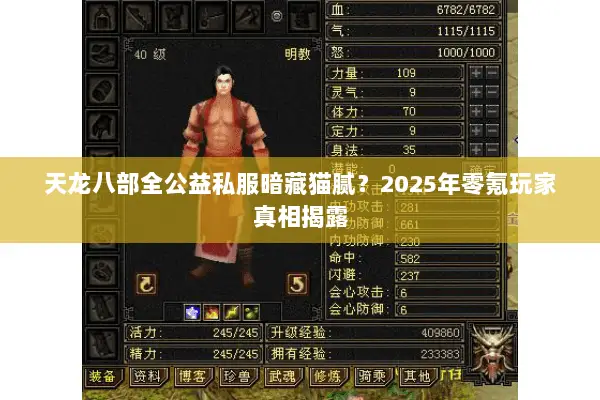 天龙八部全公益私服暗藏猫腻?2025年零氪玩家真相揭露 天龙八部全公益私服暗藏猫腻?2025年零氪玩家真相揭露